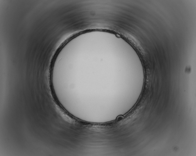 X0000101400942200807280958