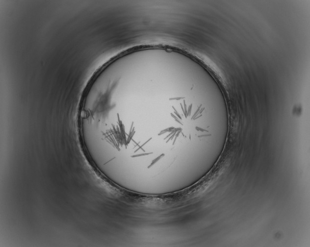 X0000101400943200807280958