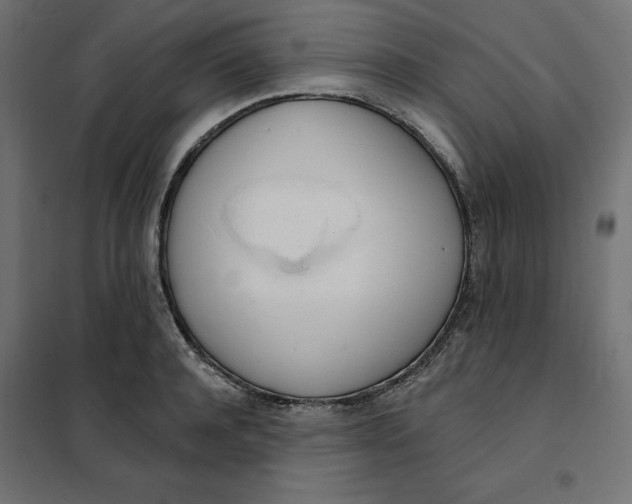 X0000101400944200807280958