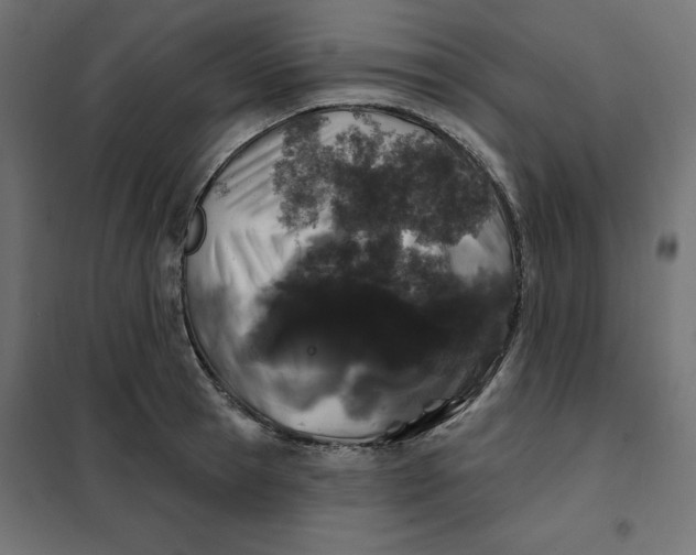 X0000101400945200807280958