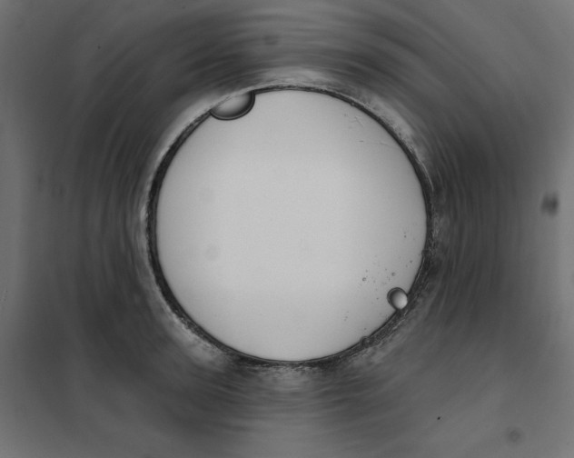 X0000101400947200807280958