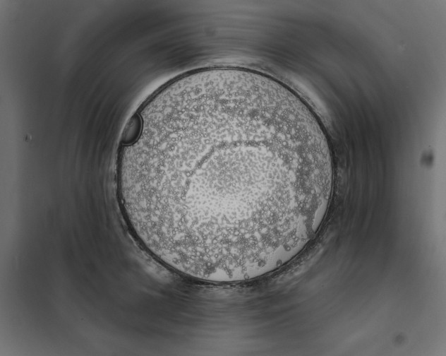 X0000101400948200807280958