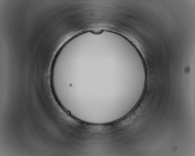 X0000101400949200807280959