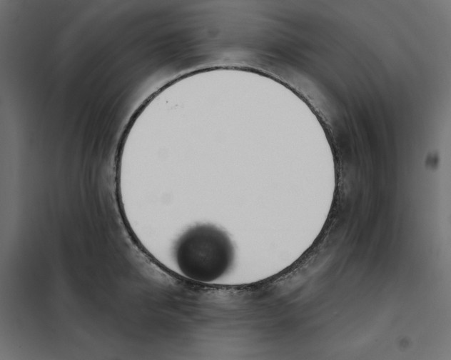 X0000101400950200807280959