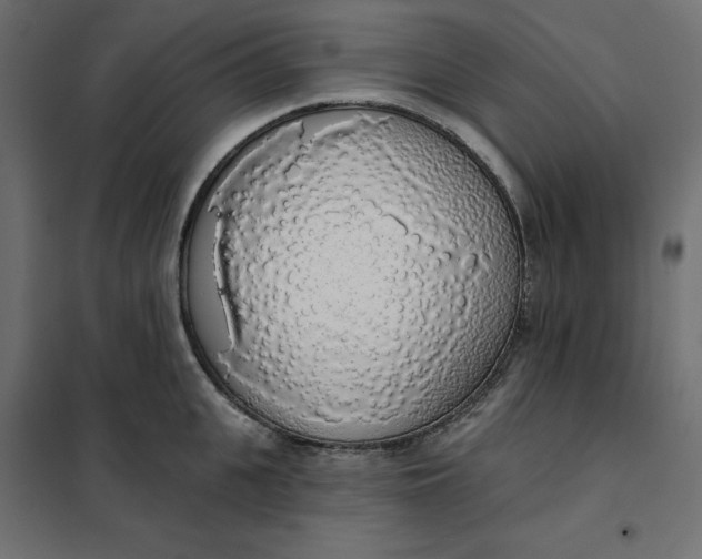 X0000101400951200807280959