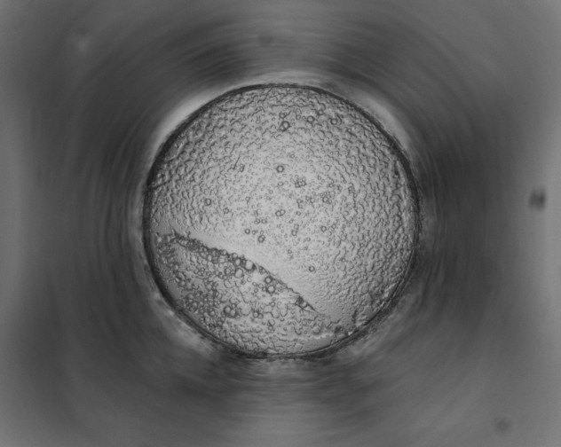 X0000101400952200807280959