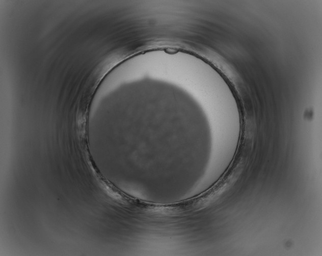 X0000101400953200807280959