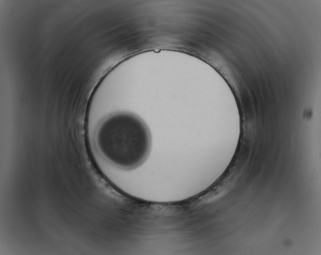 X0000101400954200807280959