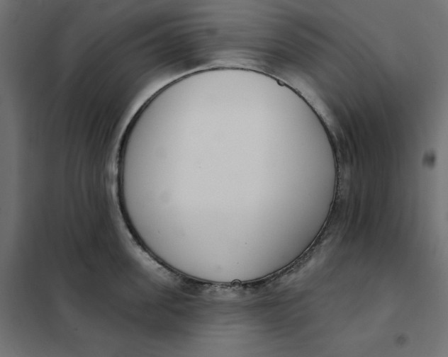 X0000101400955200807280959