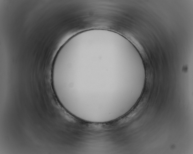 X0000101400956200807280959