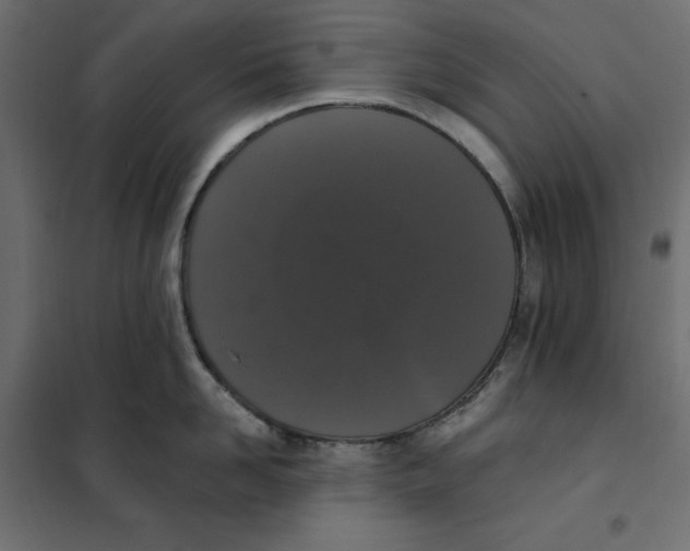 X0000101400958200807280959