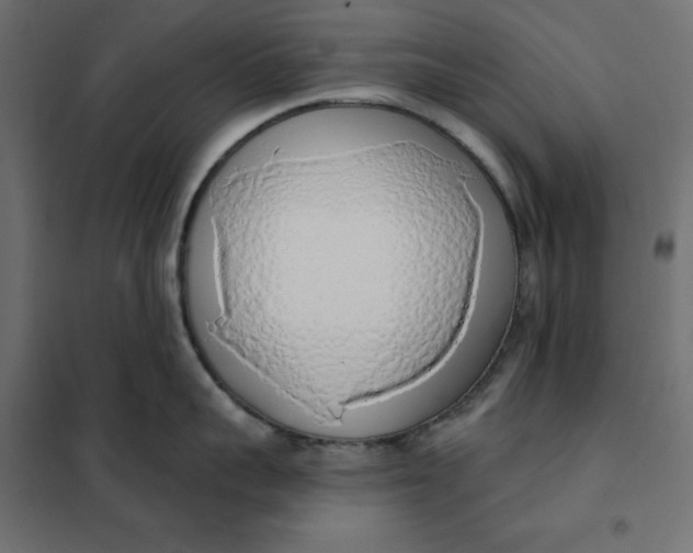 X0000101400959200807280959