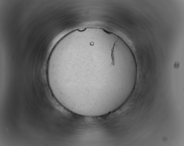 X0000101400960200807280959