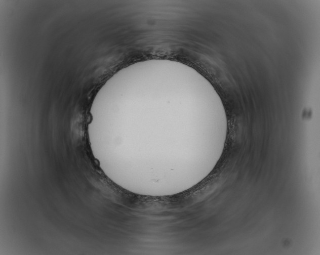 X0000101400962200807280958