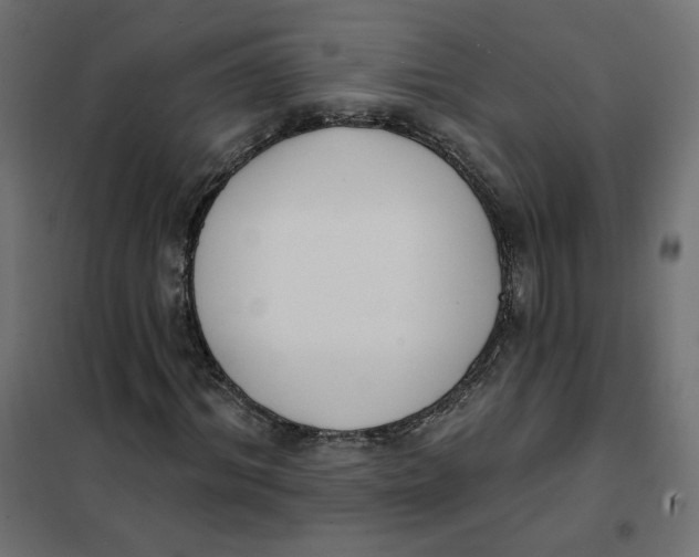 X0000101400964200807280958