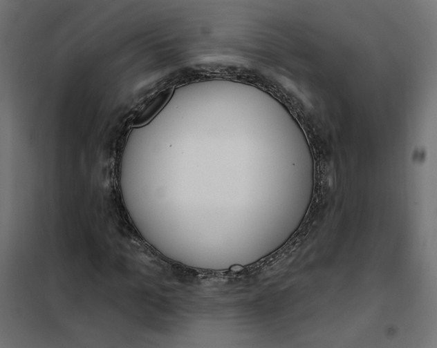 X0000101400965200807280958