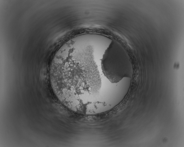 X0000101400966200807280958