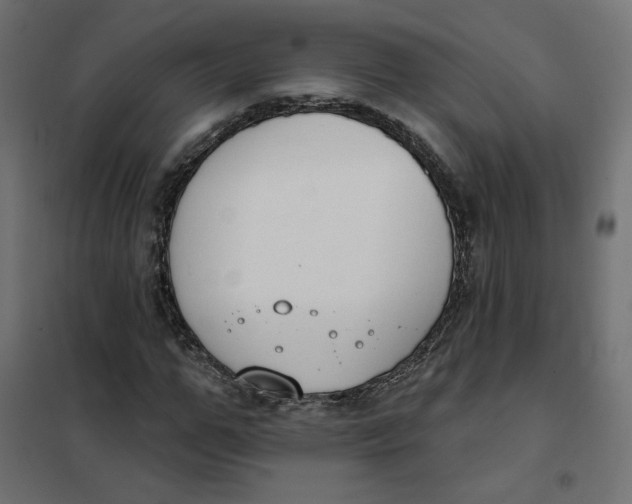 X0000101400967200807280958