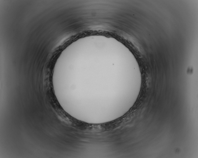 X0000101400968200807280958