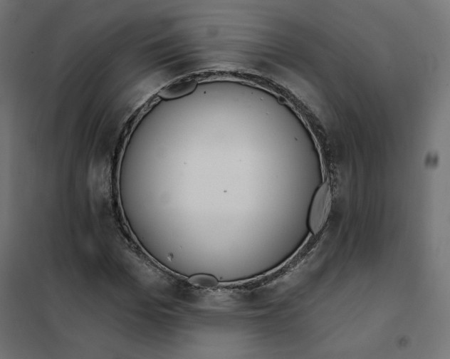 X0000101400969200807280958