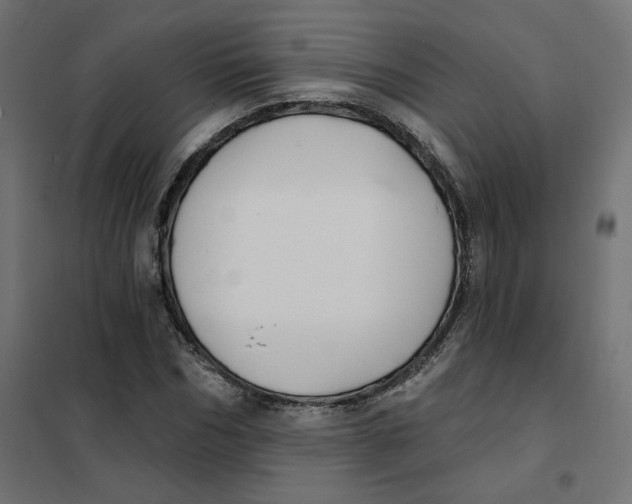 X0000101400970200807280958