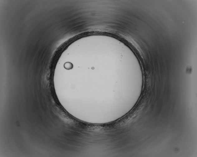 X0000101400971200807280958