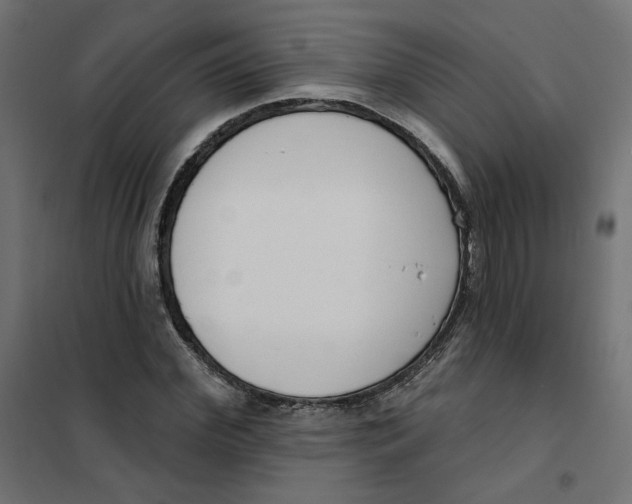 X0000101400972200807280958