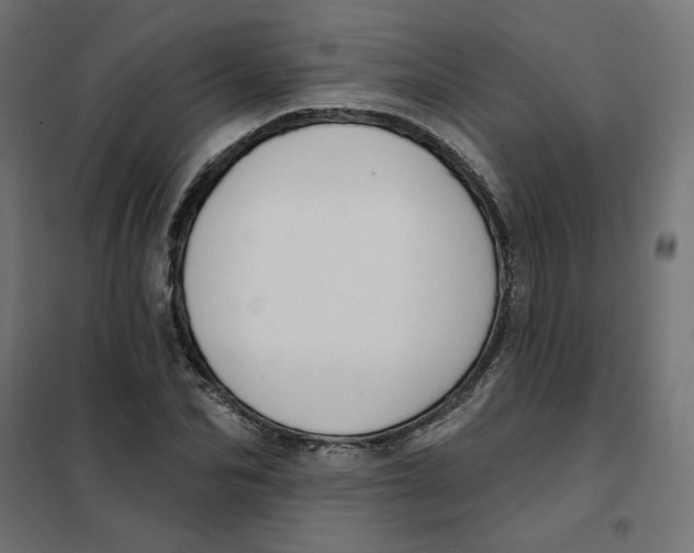 X0000101400974200807280958