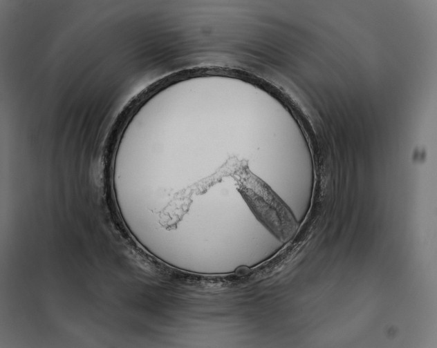 X0000101400975200807280958