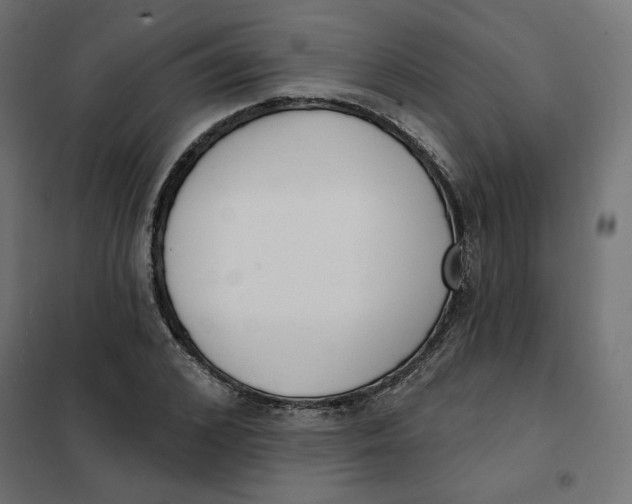 X0000101400976200807280958