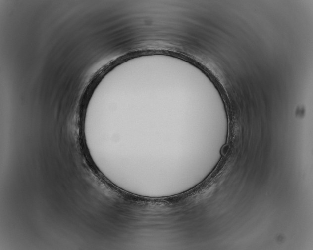 X0000101400979200807280958