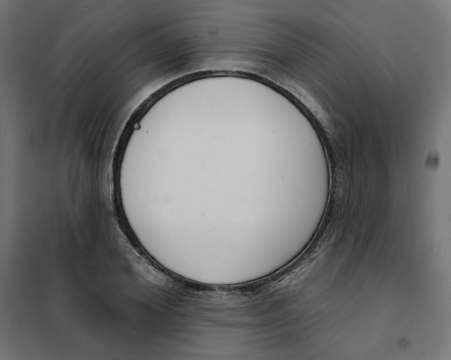 X0000101400980200807280958