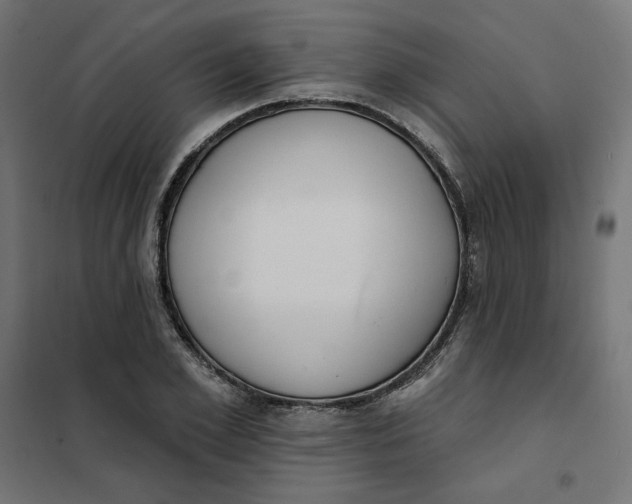 X0000101400981200807280958