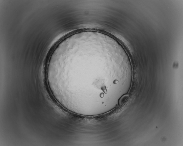 X0000101400983200807280958