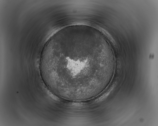 X0000101400985200807280958