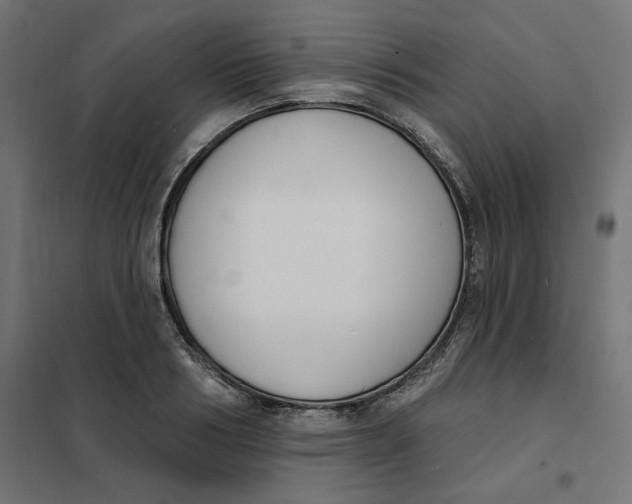 X0000101400986200807280957