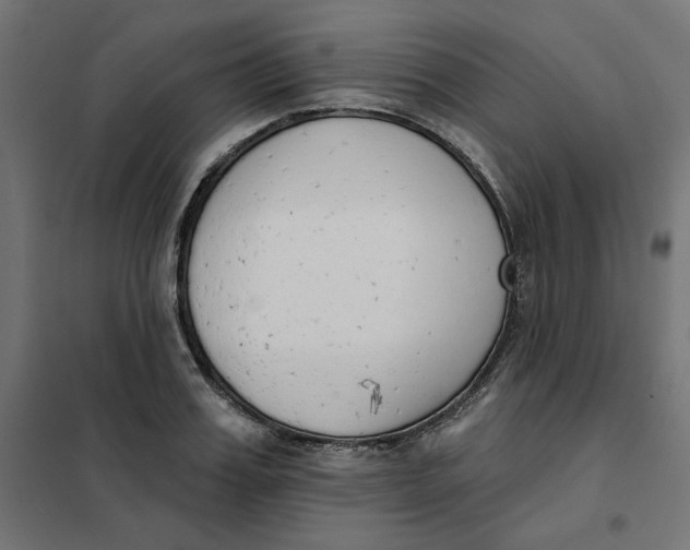 X0000101400987200807280957