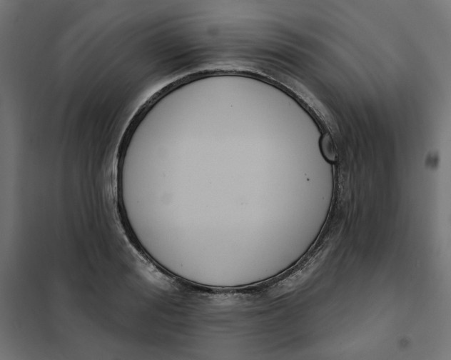 X0000101400988200807280957