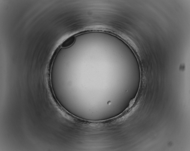 X0000101400989200807280957