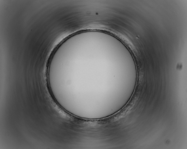 X0000101400990200807280957