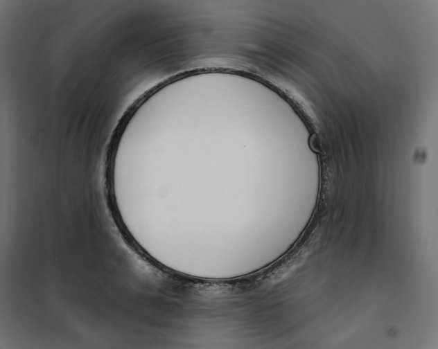 X0000101400991200807280957