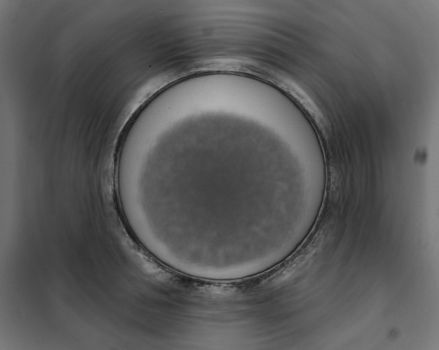 X0000101400994200807280957