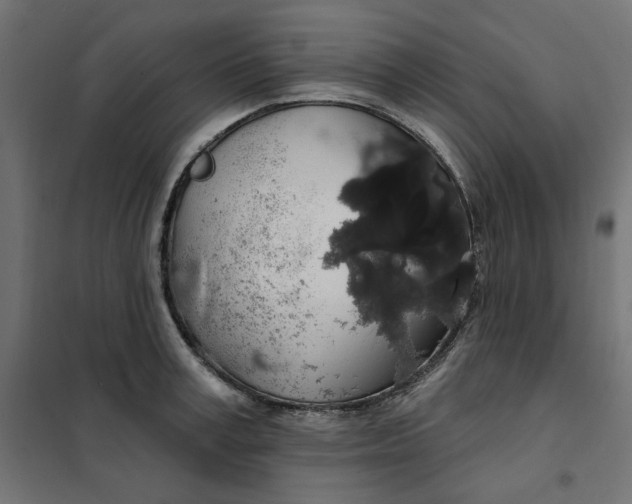 X0000101400995200807280957