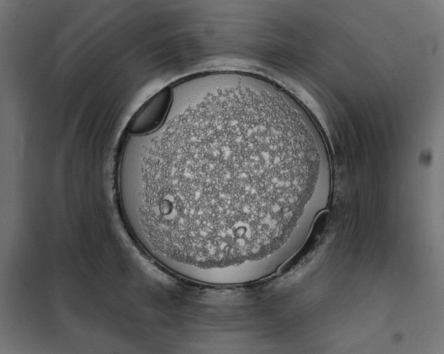 X0000101400997200807280957