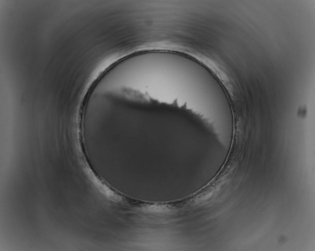 X0000101400998200807280957