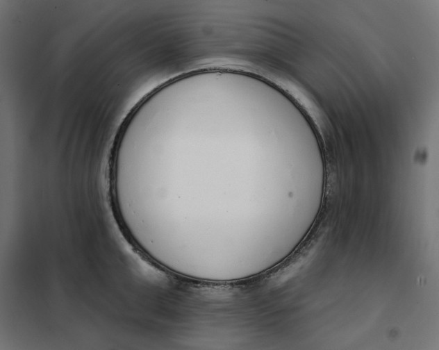 X0000101400999200807280957