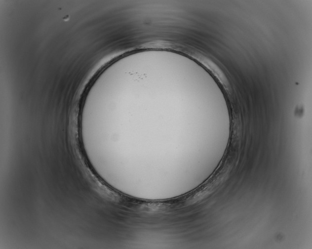 X0000101401000200807280957