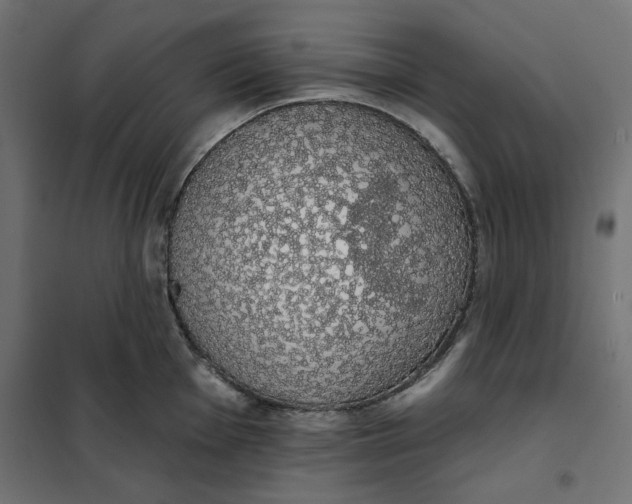 X0000101401001200807280957