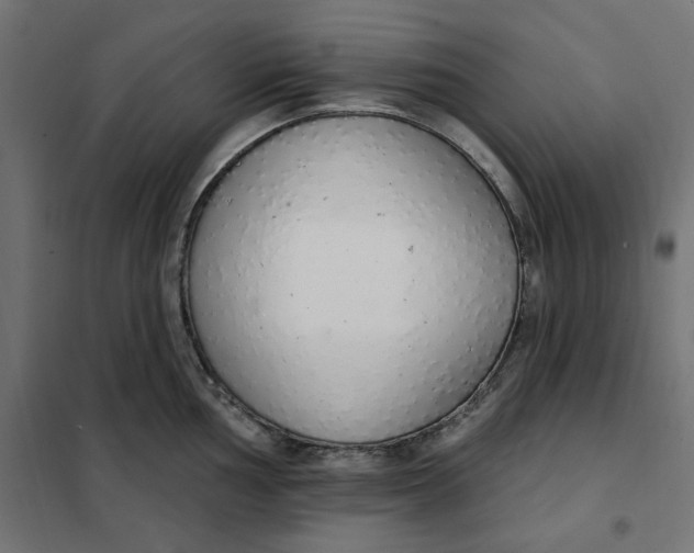 X0000101401002200807280957