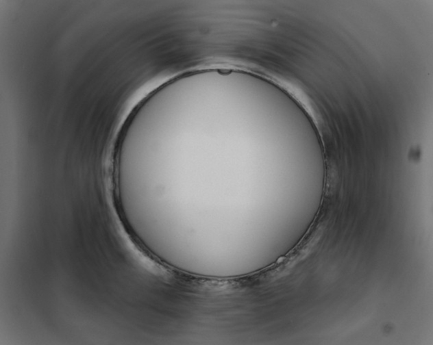 X0000101401003200807280957